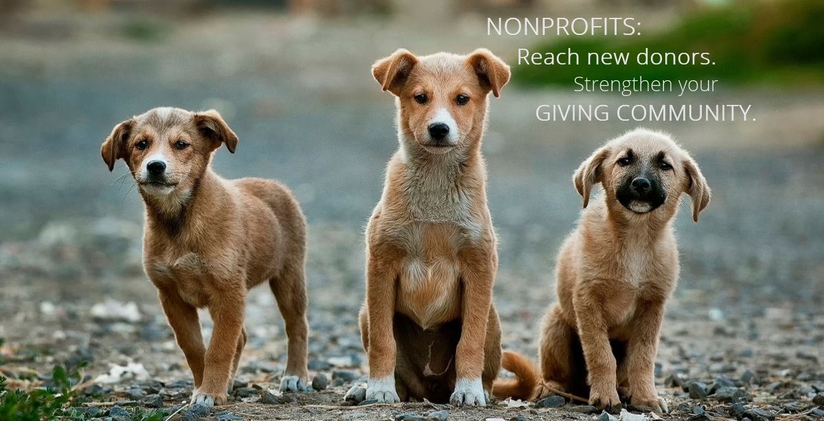 Nonprofits